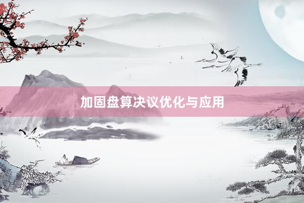 加固盘算决议优化与应用