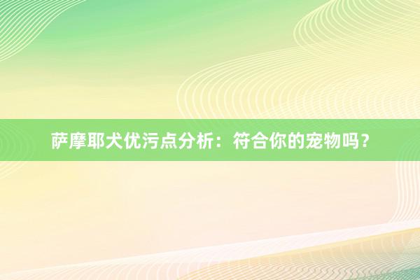 萨摩耶犬优污点分析：符合你的宠物吗？