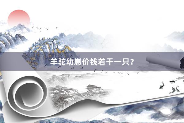 羊驼幼崽价钱若干一只？